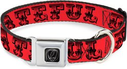 Buckle-Down Grateful Dead Text Skull Roses Metal Seatbelt Buckle Polyester Dog Collar, Red, Small: 13 to 17-in neck, 1.5-in wide