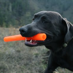 Ruff Dawg Stick Crunch Dog Toy, Orange, Large slide 2 of 4