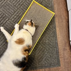 Turbo Rectangle Cat Scratcher Toy, Yellow slide 2 of 9