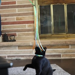 Turbo Teaser Cat Toy with Ribbons, Multicolor slide 2 of 4