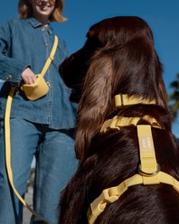 Sunny Tails Cloud Lite Waterproof Dog Harness, Dandelion Yellow, Small: 15 to 21-in chest slide 2 of 7