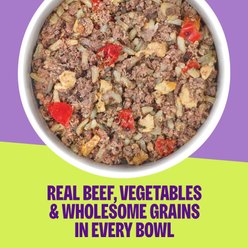 Wellness Protein Bowls Adult Wholesome Grains Beef, Red Pepper & Egg Fresh Alternative Dog Food, 6.2-oz pouch slide 2 of 9