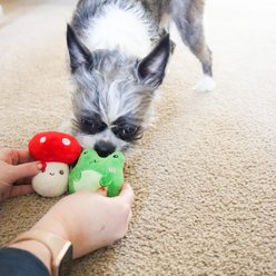 Li'l Pals Secret Garden Dog Toy Combo, 3 count slide 2 of 4