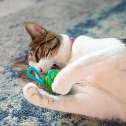 Turbo Wool Ball Cat Toys, 2 count, Green slide 2 of 5