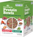 Wellness Protein Bowls Adult Wholesome Grains Beef & Lamb Value Pack Fresh Alternative Dog Food, 6.2-oz ...