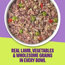 Wellness Protein Bowls Adult Wholesome Grains Lamb, Red Rice & Peas Fresh Alternative Dog Food, 6.2-oz pouch slide 2 of 9