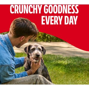 Milk-Bone GravyBones Gravy Coated Biscuit Small Dog Treats, 7-lb box