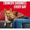 Show in main carousel: Milk-Bone Flavor Snacks Flavored Crunchy Small Dog Treats, 7-lb box slide 6 of 10