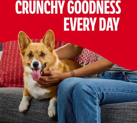 Show full view: Milk-Bone Flavor Snacks Flavored Crunchy Small Dog Treats, 7-lb box slide 6 of 10