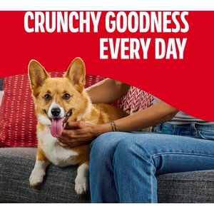 Milk-Bone Mini's Peanut Butter Flavor Crunchy Dog Treats, 15-oz box