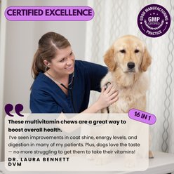 Pawious 16 in 1 Multivitamin with Glucosamine Chew Supplement for Dogs, 120 count slide 2 of 7