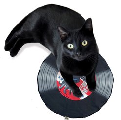 Crochet Kitty Bruce Spurringsteen Record Mat Crinkle Cat Toy with Catnip, Black, 11.5 x 11.5-in slide 2 of 3