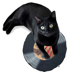 Crochet Kitty Fur Fighters Record Mat Crinkle Cat Toy with Catnip, Black, 11.5 x 11.5-in slide 2 of 3