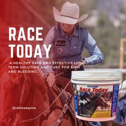 Vetline Equine Race Today Horse Supplement, 6.6-lb bucket slide 2 of 6