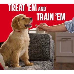 Milk-Bone Puppy Original Crunchy Dog Treats, 16-oz box