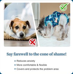 V.PET.B.R Dog Surgery Recovery Suit, Blue Dinosaur, X-Small slide 2 of 6