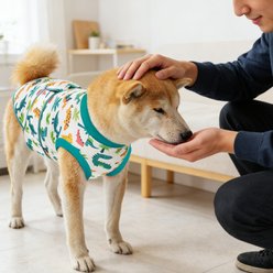 V.PET.B.R Dog Surgery Recovery Suit, Green Dinosaur, Medium slide 2 of 7