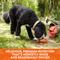 Show in main carousel: Nature's Recipe Grain-Free Chicken Recipe in Broth Wet Dog Food, 2.75-oz, case of 12 slide 6 of 12