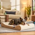 Frisco Orthopedic Contour Lounger Dog Bed with Removable Cover, Beige, Large