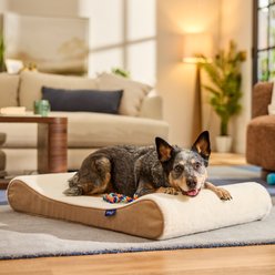 Frisco Orthopedic Contour Lounger Dog Bed with Removable Cover, Beige, Large