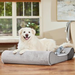 Frisco Orthopedic Contour Lounger Dog Bed with Removable Cover, Grey, XX-Large