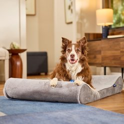 Frisco Orthopedic Contour Lounger Dog Bed with Removable Cover, Grey, X-Large
