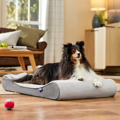 Frisco Orthopedic Contour Lounger Dog Bed with Removable Cover, Grey, Large