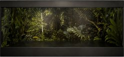 Reptile Kages 422 Premium Jungle Print Background PVC Horizontal Reptile Enclosure with Side Vents, Black, 120-gal