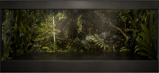 Reptile Kages 422 Premium Jungle Print Background PVC Horizontal Reptile Enclosure with Side Vents, Black, 12...