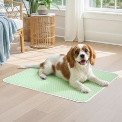 Mora Pets Breathable Cooling Dog & Cat Pad, Light Green, Medium