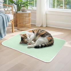 Mora Pets Breathable Cooling Dog & Cat Pad, Light Green, Small
