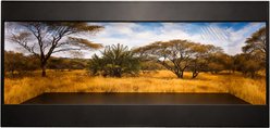 Reptile Kages 422 Premium Grassland Print Background PVC Horizontal Reptile Enclosure with Side Vents, Black, 120-gal