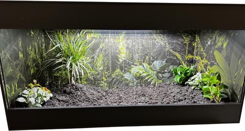 Show full view: Reptile Kages 422 Premium Jungle Print Background PVC Horizontal Reptile Enclosure with Side Vents, Black, 120-gal slide 7 of 8