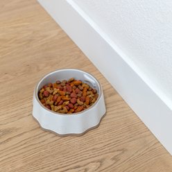 Fringe Studio Speckled Bone Dishwasher Safe Stone Dog Bowl, Multicolor, Medium slide 2 of 2