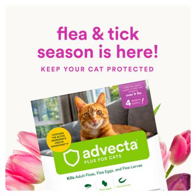 Show full view: Advecta Flea Spot Treatment for Cats, Over 9 lbs, 6 doses (6-mos. supply) slide 6 of 6