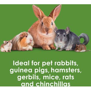 Kaytee Baked Apple Timothy Biscuit Small Animal Treats, 4-oz bag