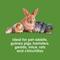 Show in main carousel: Kaytee Baked Carrot Timothy Biscuit Small Animal Treats, 4-oz bag slide 5 of 8