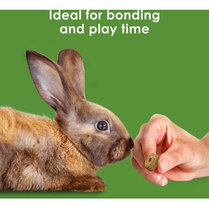 Kaytee Baked Apple Timothy Biscuit Small Animal Treats, 4-oz bag