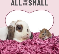 Kaytee Clean & Cozy Colors Small Pet Bedding, Plum, 49.2-L slide 2 of 9