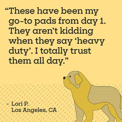 Show full view: Pet Life Unlimited Heavy Duty Dog Pee Pads, Clover Leaf Scent, 3X-Large: 36 x 36-in, 25 count slide 9 of 10