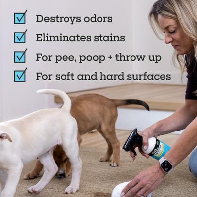 Show full view: Pet Life Unlimited Stain & Odor Eliminator, Juniper Leaf Scent, 16-fl oz bottle slide 6 of 10