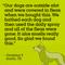 Show in main carousel: Pet Life Unlimited Flea & Tick 3-Step Kit for Dogs slide 7 of 8