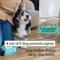 Show in main carousel: Pet Life Unlimited Fragrance Free Dog & Cat Grooming Wipes, 72 count slide 4 of 8
