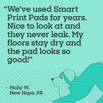 Show full view: Pet Life Unlimited Smart Prints Dog Pee Pads, Sweet Bluegrass Scent, XX-Large: 36 x 30-in, 30 count slide 9 of 10