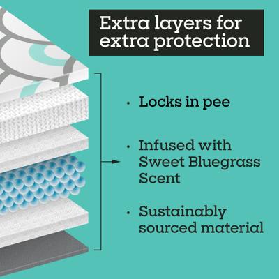 Show full view: Pet Life Unlimited Smart Prints Dog Pee Pads, Sweet Bluegrass Scent, XX-Large: 36 x 30-in, 30 count slide 5 of 10