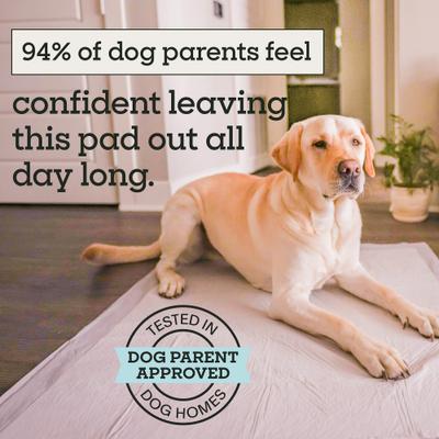 Show full view: Pet Life Unlimited Heavy Duty Dog Pee Pads, Clover Leaf Scent, 3X-Large: 36 x 36-in, 25 count slide 4 of 10