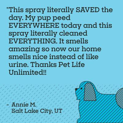 Show full view: Pet Life Unlimited Stain & Odor Eliminator, Juniper Leaf Scent, 16-fl oz bottle slide 8 of 10