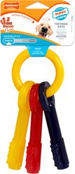 Nylabone Just for Puppies Teething Chew Toy Keys Bacon, Medium