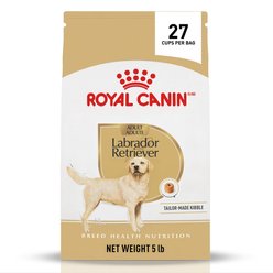 Royal Canin Breed Health Nutrition Labrador Retriever Adult Dry Dog Food, 5-lb bag