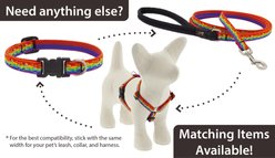 LupinePet MicroBatch Limited Edition Pixel Party Padded Handle Dog Leash, Regular: 4-ft long, 1/2-in wide slide 2 of 5